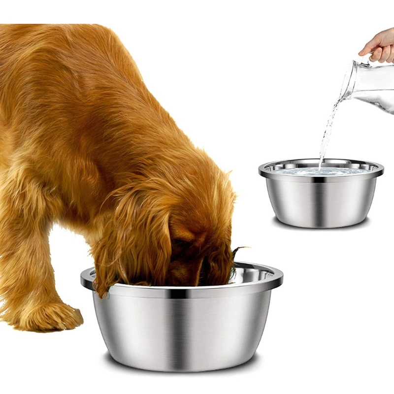 Royal Canin Food Medium - Karmniki dla psów ze stali nierdzewnej