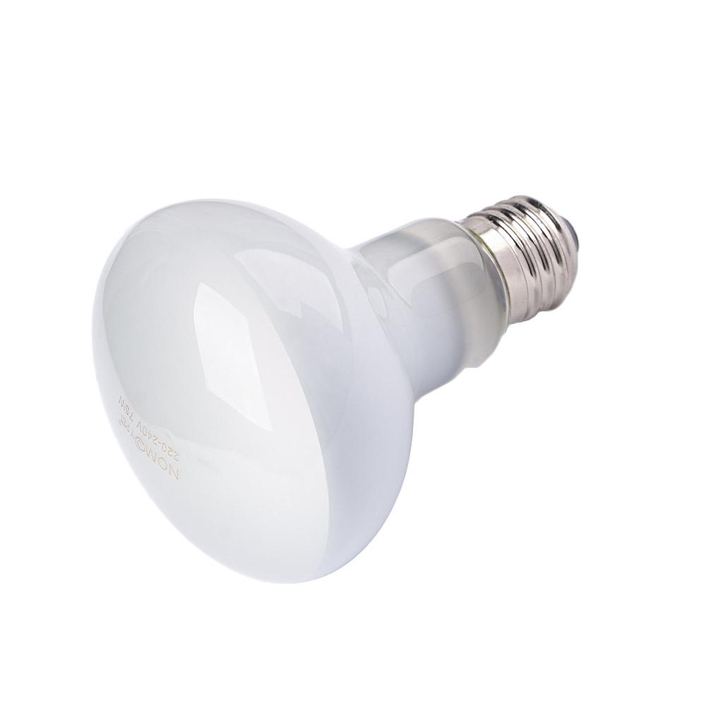 Regulator temperatury lampy gr – Basking Bulb Halogen recenzja i cena