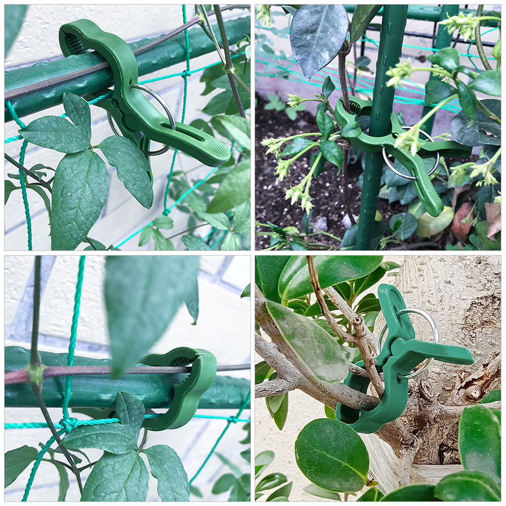 60 sztuk – plastikowe klipsy d – Vine Climbing Plastic recenzja i cena
